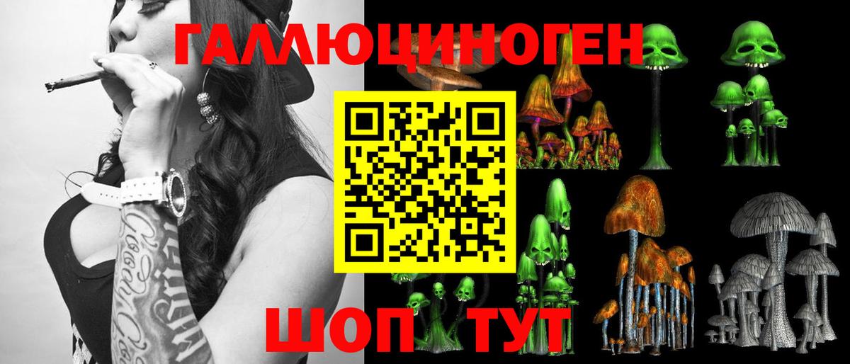 Краснознаменск  Галлюциногенные грибы Magic Shrooms  Вход с VPN 